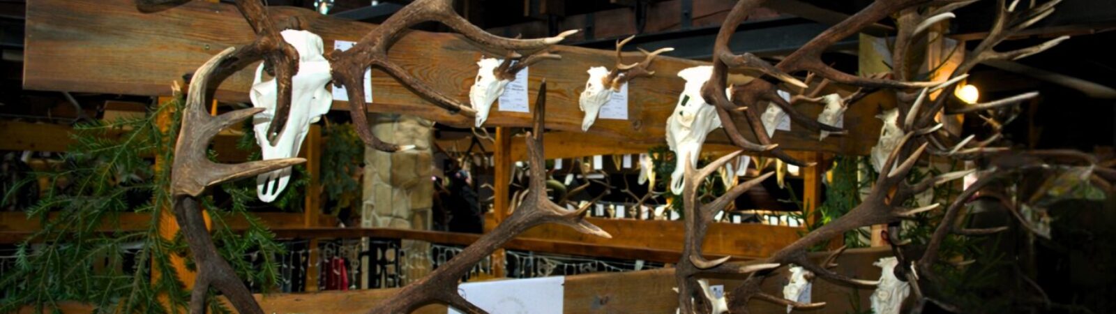 6295ad53-943c-4f1d-865b-36b0287d9934