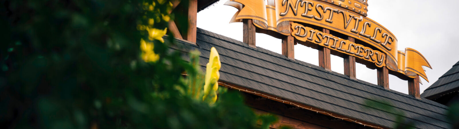 83c0471d-419b-4517-807d-1914b67a759f