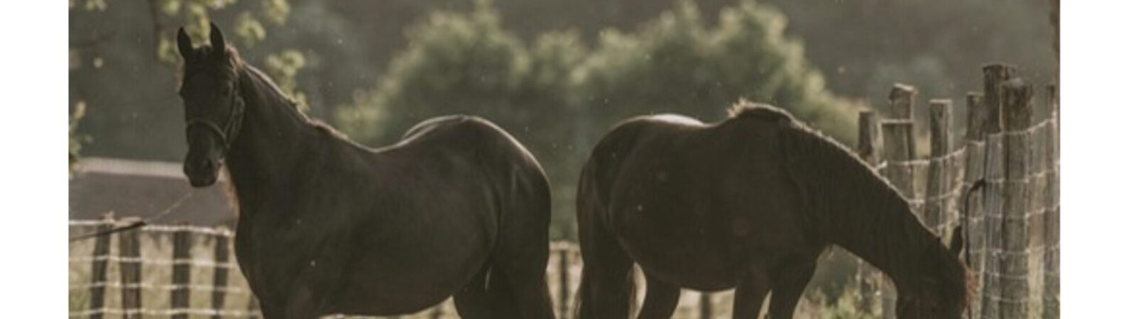 Snímka obrazovky 2026-03-16 o 14.30.58