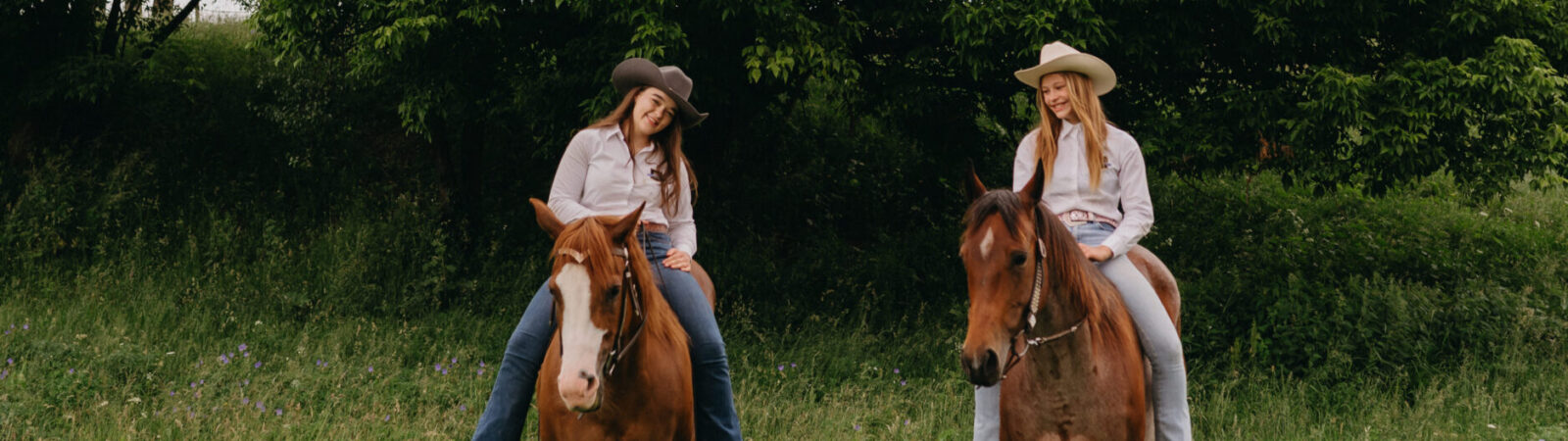 ecd9d1be-95a5-4d9a-87ef-dd2129b50411